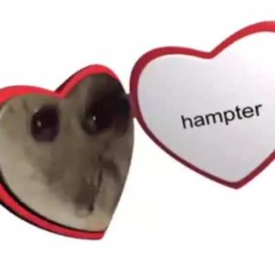 hampter