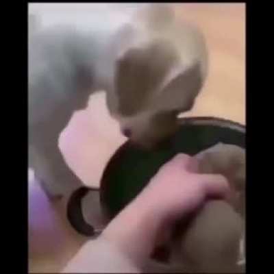 😭
