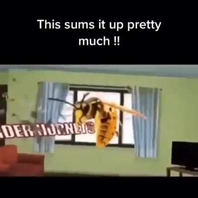 Yep