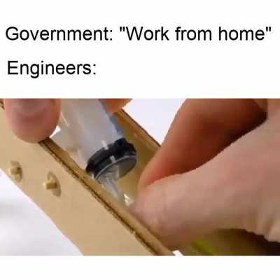 At least they're having fun