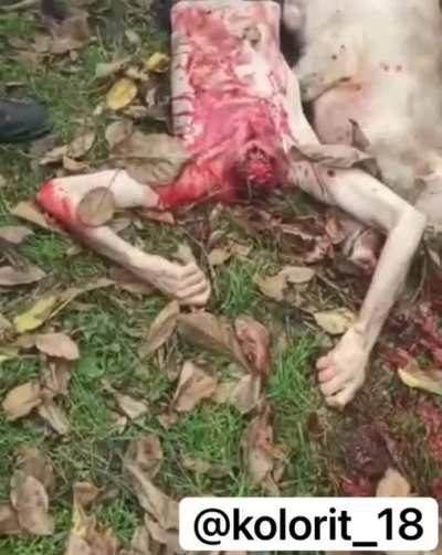 Azerbaijanis cut off the head of an Armenian