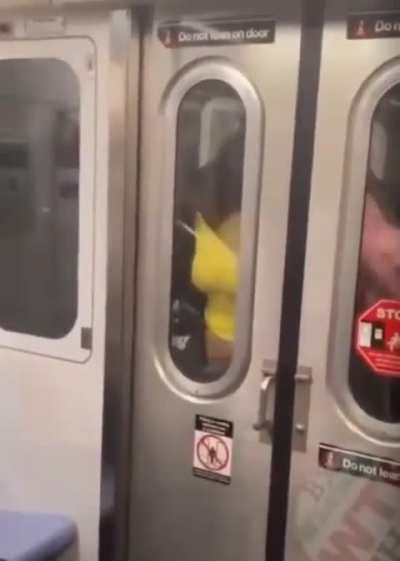 the subway is wild
