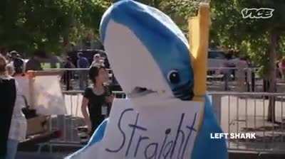 Chad shark lmao