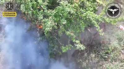 A Russian soldier sitting under a tree takes a hit from an FPV drone from the Strike Drone Company (47 OMBr)
