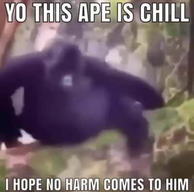 Mon