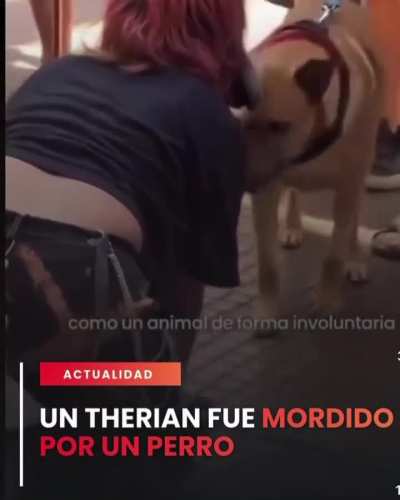 Simplemente XD
