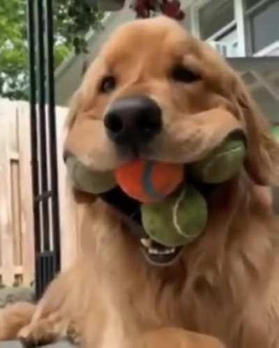 Proudest day of a good bois life.