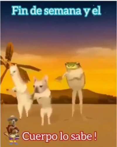 Video culero