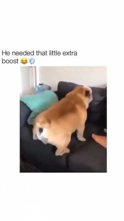 Not sure what I just saw