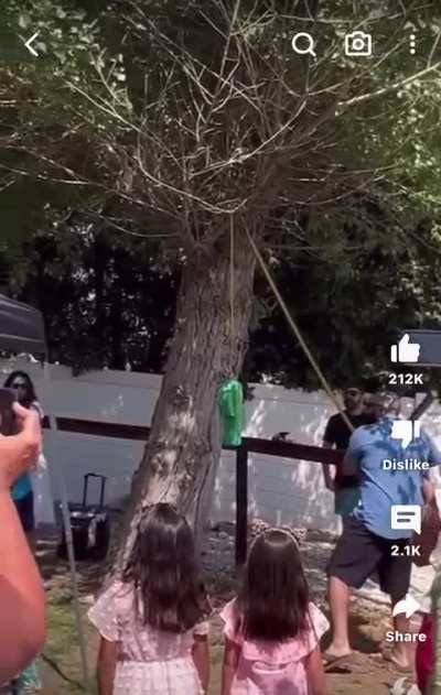 Revenge of the piñata
