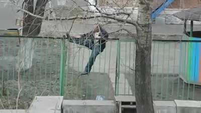 Trying to climb over the fence