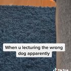Idk if this is a repost