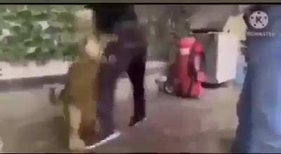 O oyun istiyor abisi