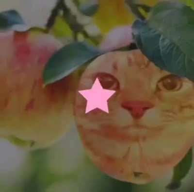 >:(