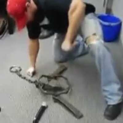 I'll just punch this bear trap