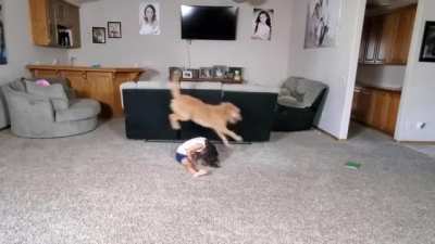 Little girl does gymnastics with her dog
