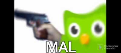 duolingo?