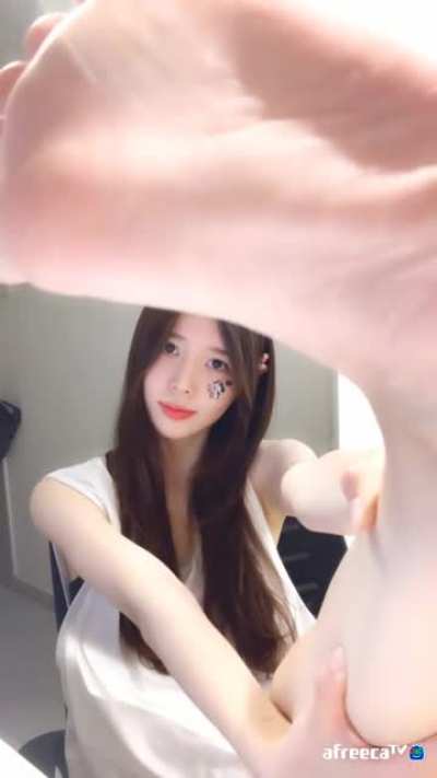 Canna (@toou123)