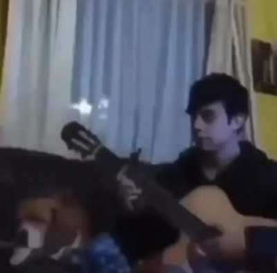 Guitar