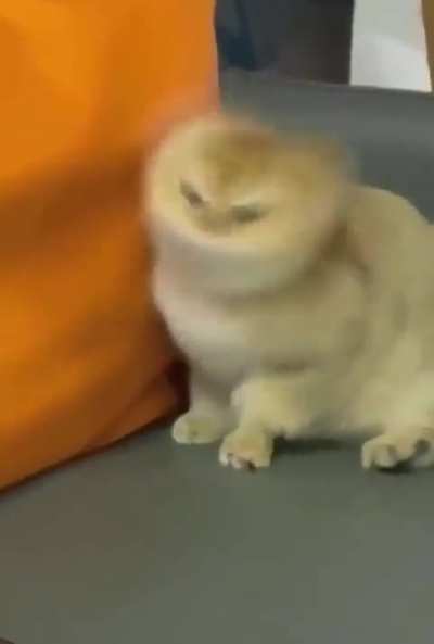 Ka