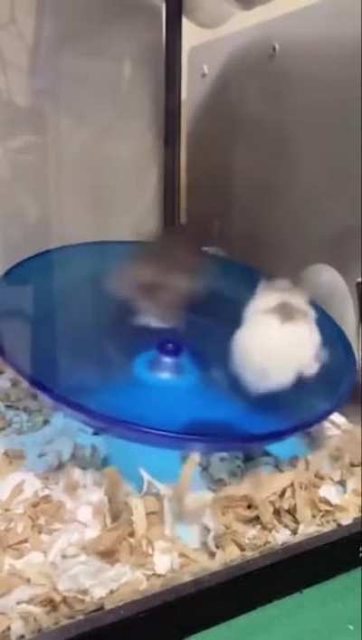 Faster, faster...!!!