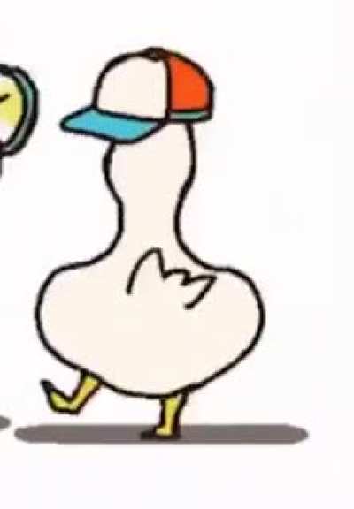 Duck_irl