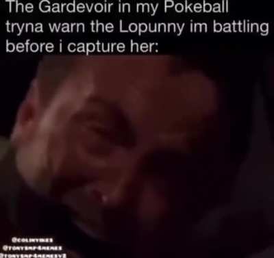 Pokemon be like