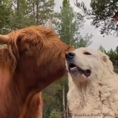 Best Friends