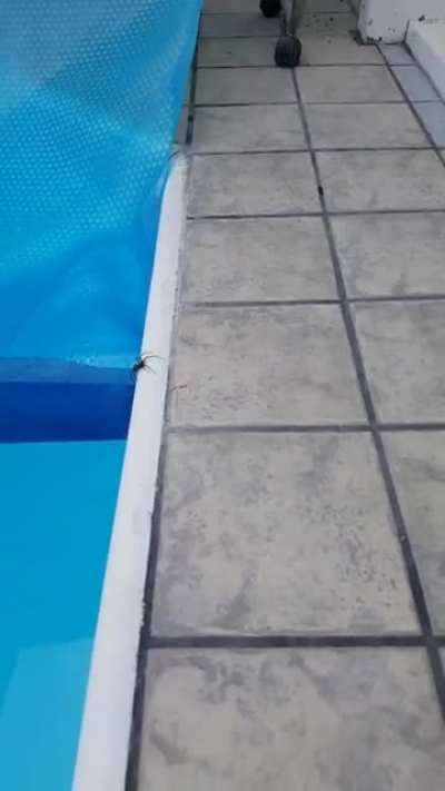he's coming for me