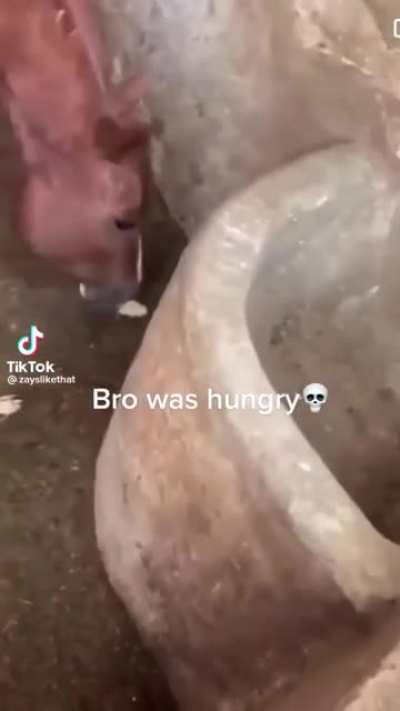 Raw nuggets
