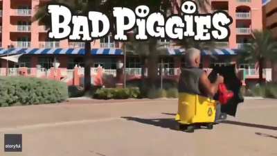 these are some bad piggies! 🐽