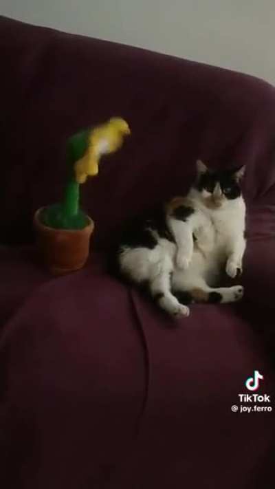 His best friend