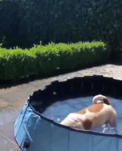 Pool time