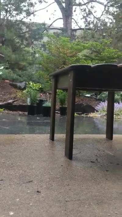 I love rainy days at my new apartment!