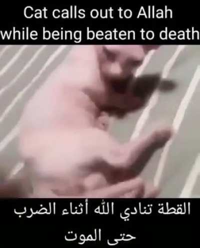 السلام عليكم يا أخي