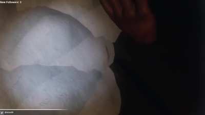 Perfectly Cut Phasmophobia Scre-