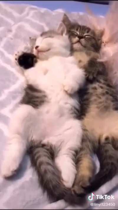 Cuddle Puddle