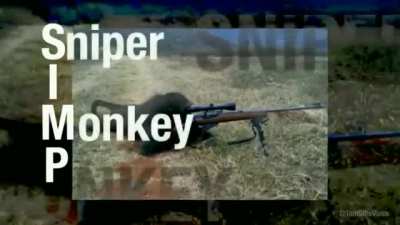 Who else is a sniper monkey?