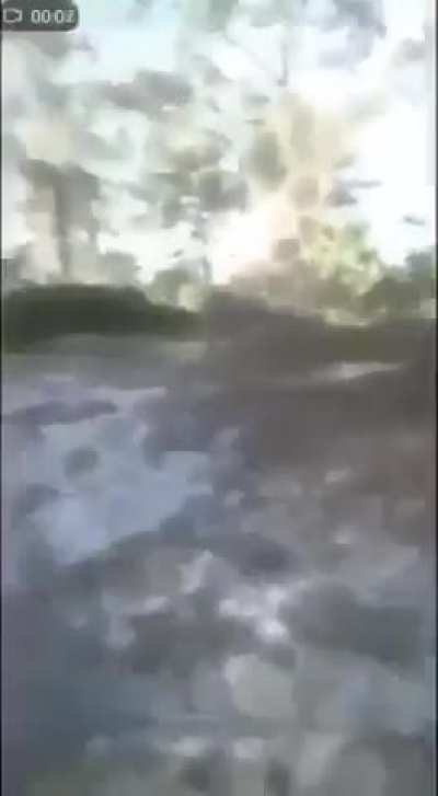 VIKTOOR