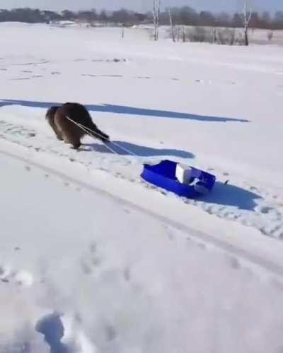 Fishing with a raccoon pal....