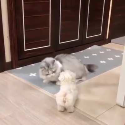 Dancing Class