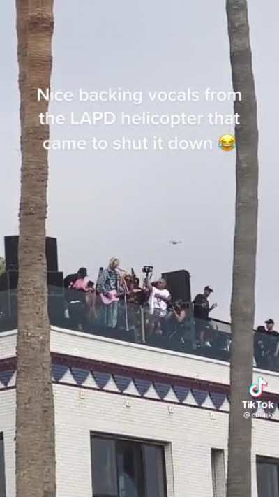 MGK throws a rooftop party to celebrate going Platinum