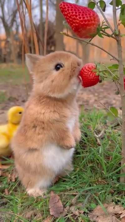 Time for a snack🥰