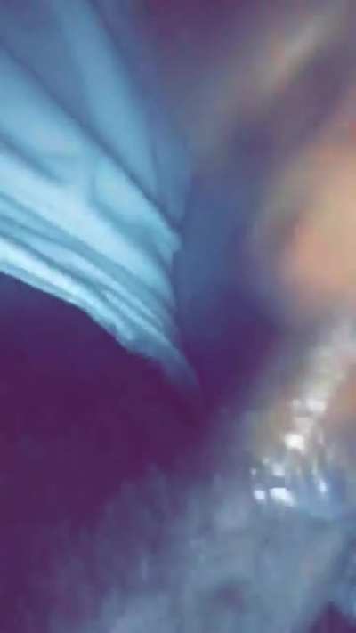 Jaee Ellies Thot Ass