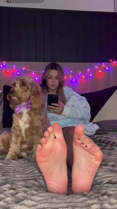 @melendd