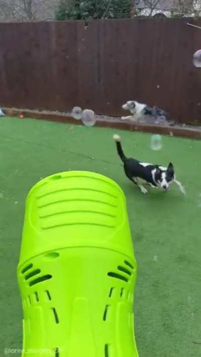 Bubbles round 2!! With the sound of chaos included this time