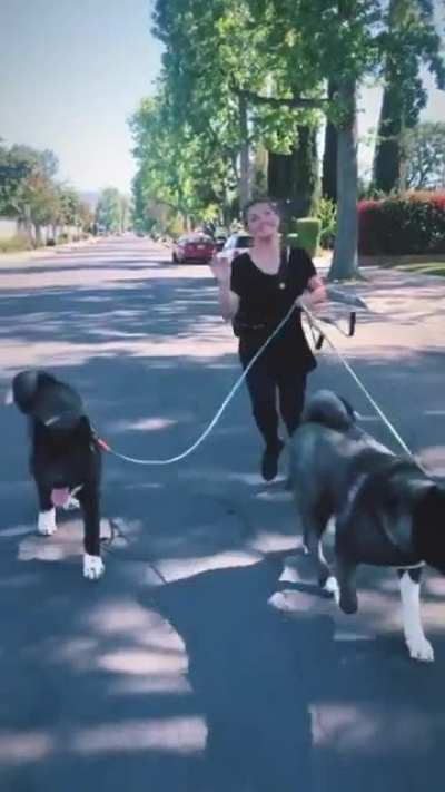 out for a dog walk