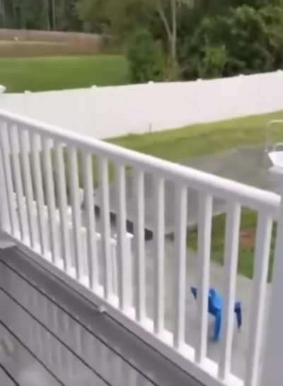 He wants to swim (not my video).