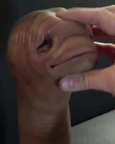 Ice after salt aye