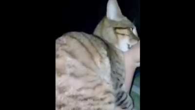 :0 ,